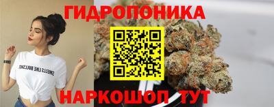стафф Братск