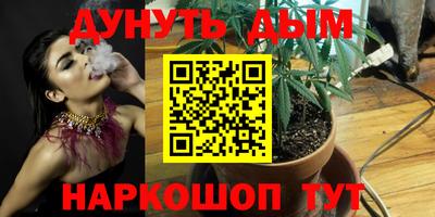 стафф Братск