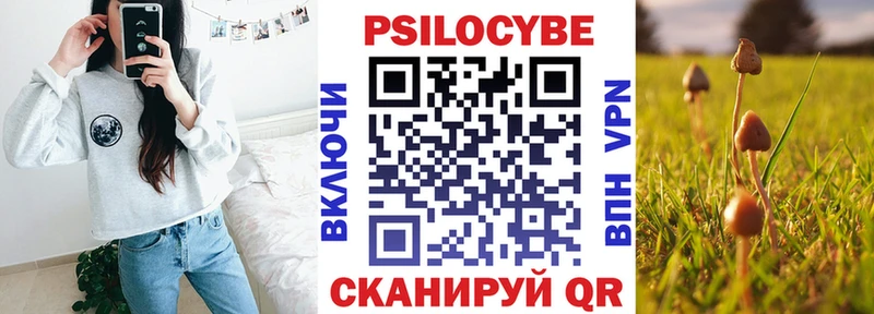 Псилоцибиновые грибы прущие грибы  Пятигорск 
