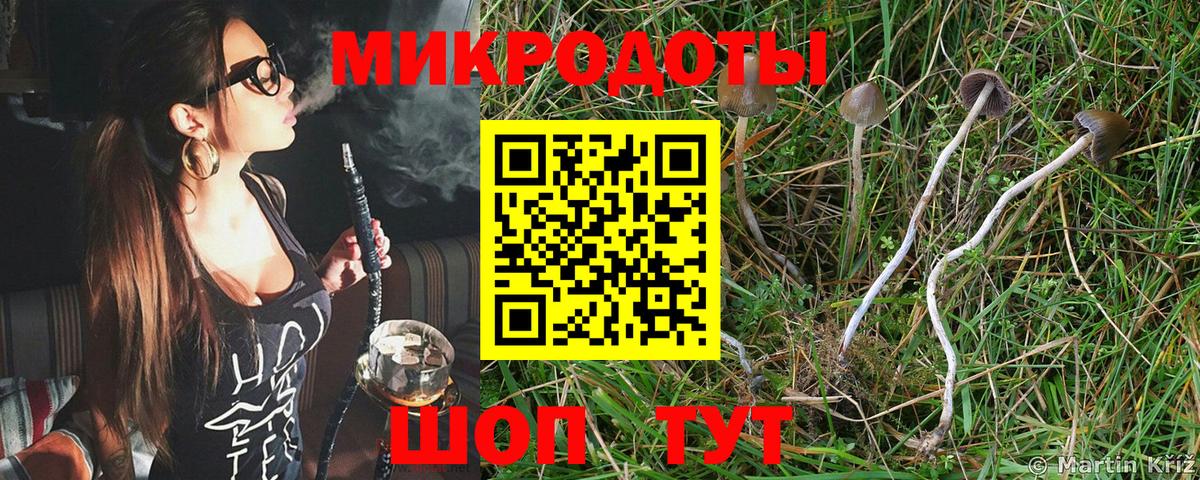 Псилоцибиновые грибы GOLDEN TEACHER Пятигорск