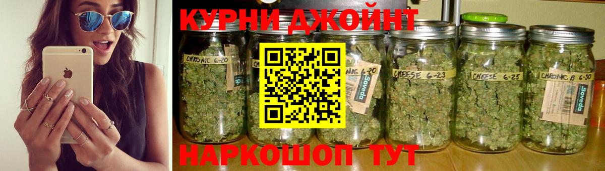 Канабис OG Kush Пятигорск
