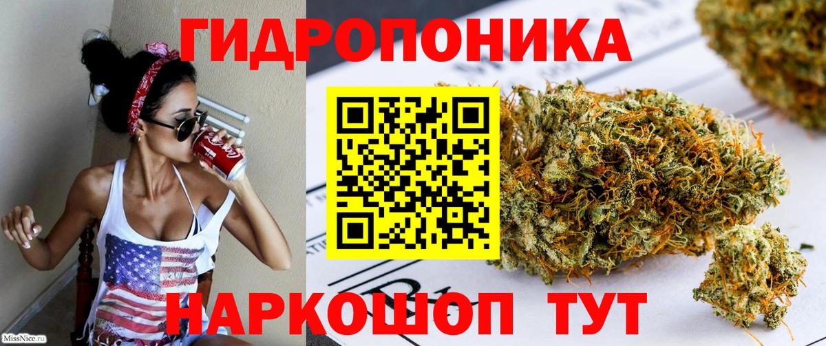 Бошки марихуана планчик  Бошки Шишки SATIVA & INDICA  Пятигорск  Канабис план  Вход с VPN 